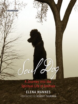 cover image of Soul Dog